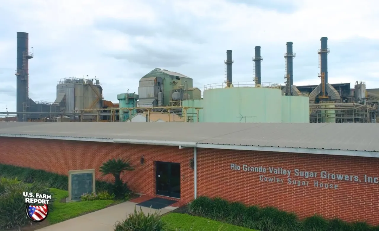 134-Year-Old Sugar Company Faces Final Shutdown After Rescue Plan Fails