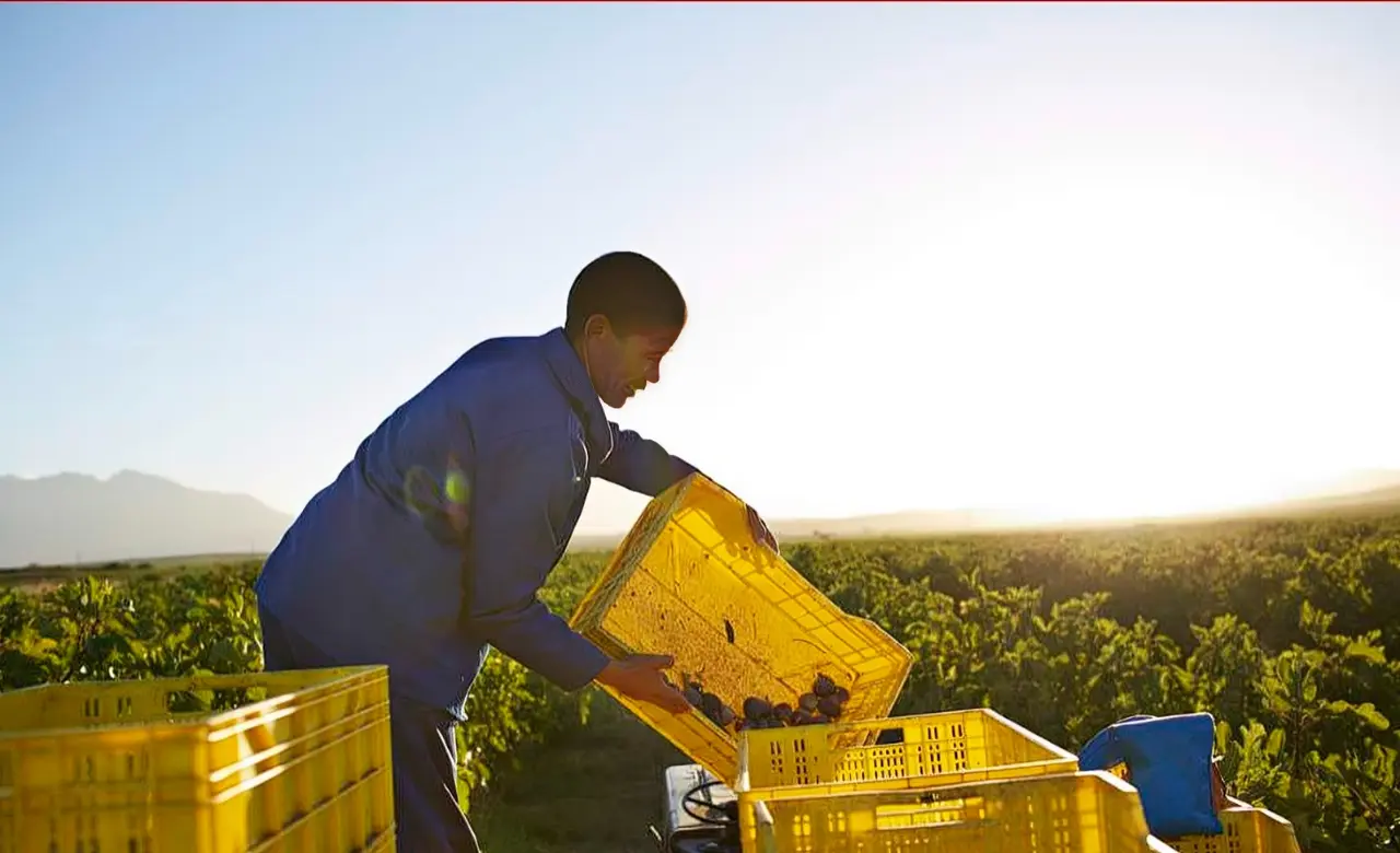 National minimum wage crosses R30 per hour for the first time in 2026